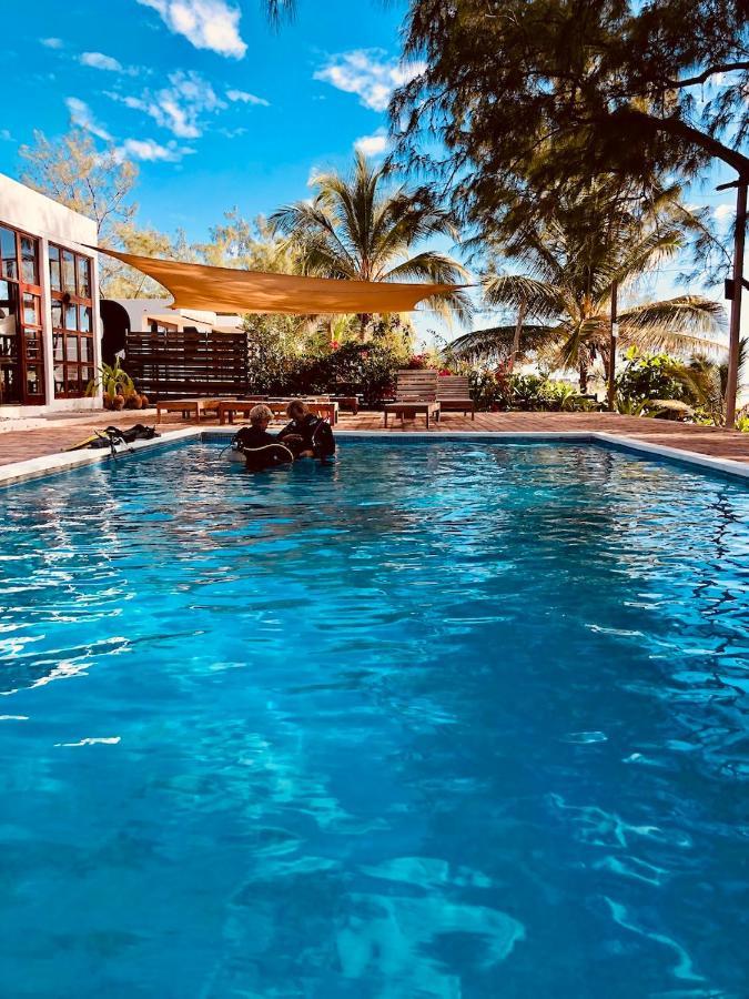 Liquid Dive Adventures Bed and Breakfast Praia do Praia do Tofo Eksteriør billede