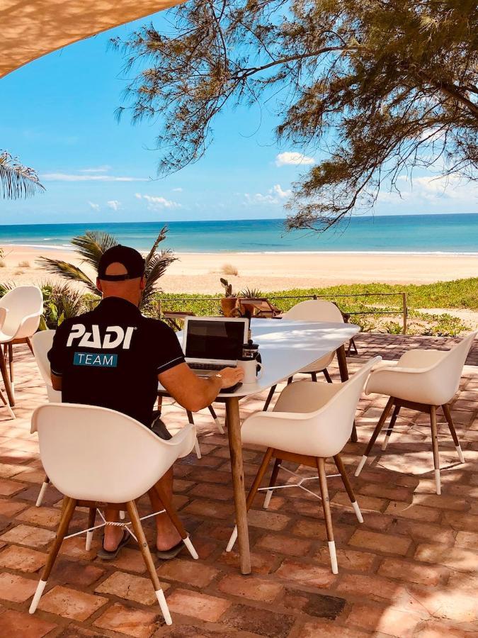 Liquid Dive Adventures Bed and Breakfast Praia do Praia do Tofo Eksteriør billede