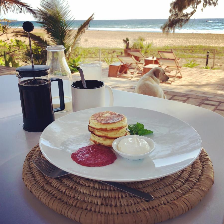 Liquid Dive Adventures Bed and Breakfast Praia do Praia do Tofo Eksteriør billede