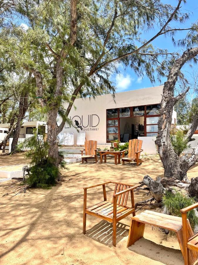 Liquid Dive Adventures Bed and Breakfast Praia do Praia do Tofo Eksteriør billede