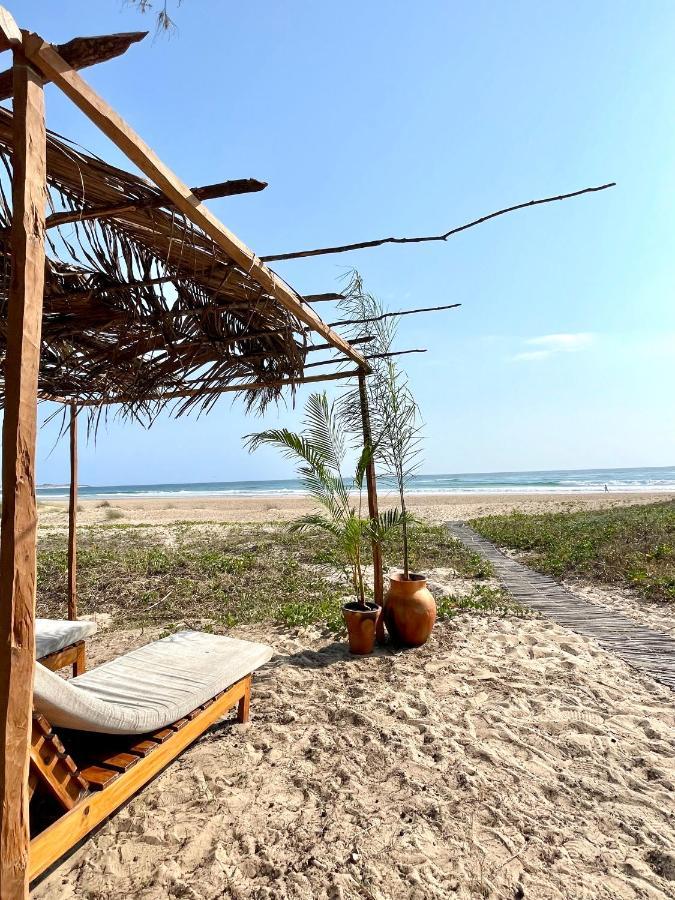 Liquid Dive Adventures Bed and Breakfast Praia do Praia do Tofo Eksteriør billede