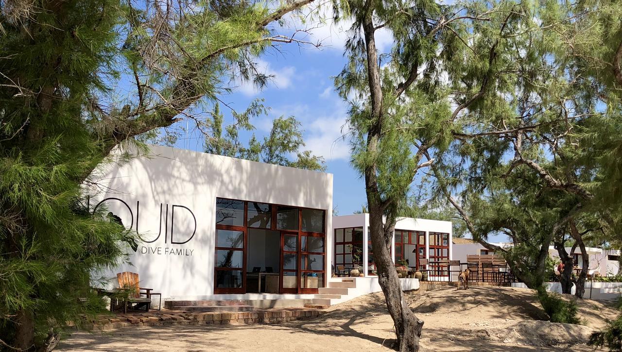 Liquid Dive Adventures Bed and Breakfast Praia do Praia do Tofo Eksteriør billede
